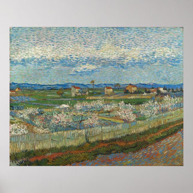 Póster Melocotoneros en Flor de Van Gogh (Frente)