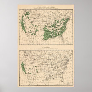 Póster Melocotones, nectarinas, albaricoques