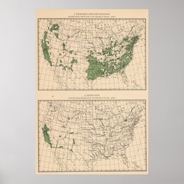 Póster Melocotones, nectarinas, albaricoques (Frente)