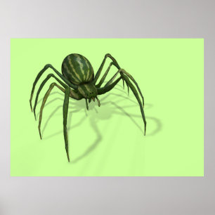 Póster Melon Spider