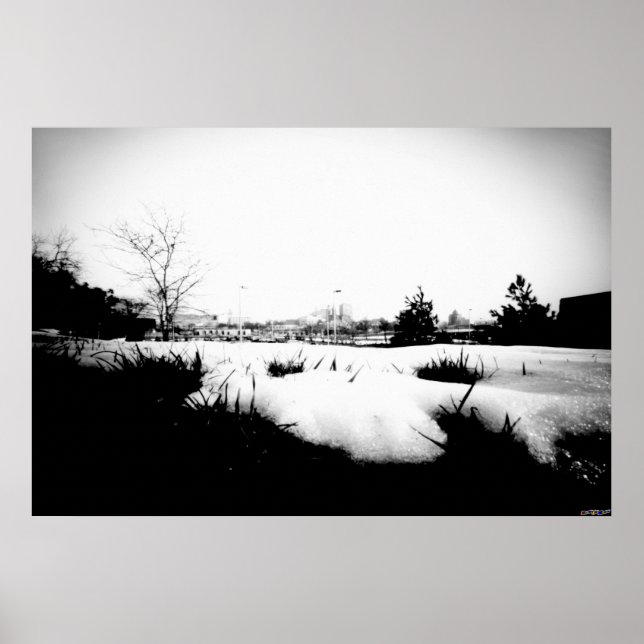 Póster Melting Snow (Frente)