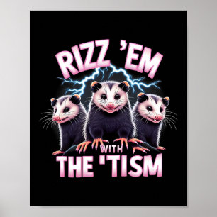 Póster Meme Autista Opossum Rizz Em Con El Autismo Del Ti