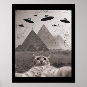 Póster Meme Cat Ufo - Gracioso Selfie Cat Con Ufos