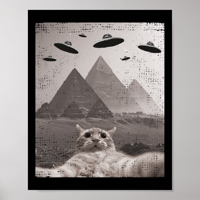 Póster Meme Cat Ufo - Gracioso Selfie Cat Con Ufos (Frente)