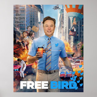Póster MEME DE AVES GRATIS - Elon, Twitter, Pájaro gratis