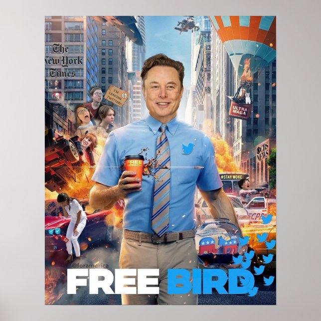 Póster MEME DE AVES GRATIS - Elon, Twitter, Pájaro gratis (Frente)