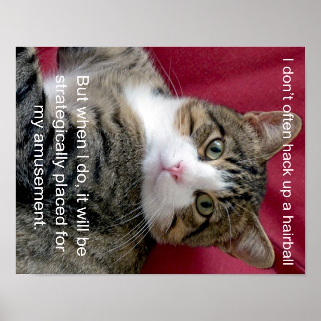 Póster Meme de gato (Frente)