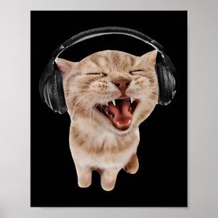 Póster Meme de gato con audífonos