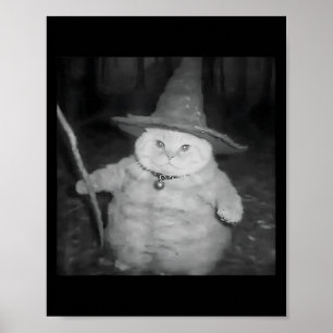 Póster Meme de gato de Halloween divertido para el gato d