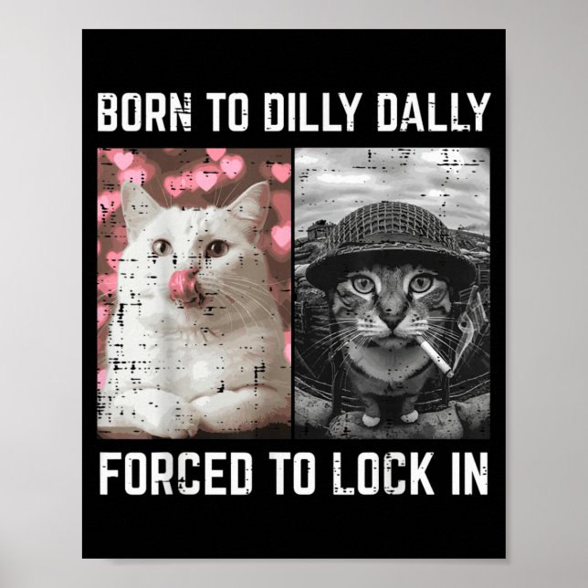 Póster Meme de gato divertido Chicos jóvenes de Internet  (Frente)