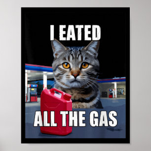 Póster Meme de gato divertido me comí quería toda la gaso