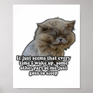 Póster Meme de gato divertido para amantes de gatitos y d