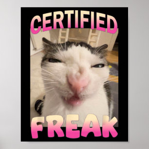 Póster Meme de gato falso certificado Memes ofensivos Gra