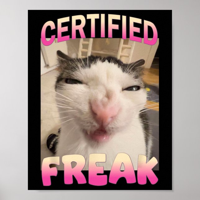 Póster Meme de gato falso certificado Memes ofensivos Gra (Frente)