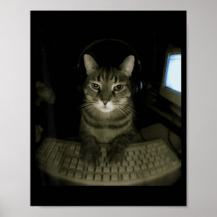 Póster Meme de gato hacker divertido gato de computadora 