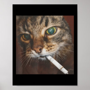Póster Meme de gato humeante