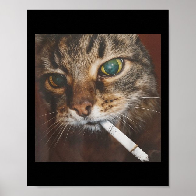 Póster Meme de gato humeante (Frente)