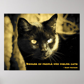Póster Meme de gato negro con proverbio irlandés