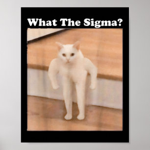 Póster Meme de Internet Meme Meme de Sigma Cat Memes dive