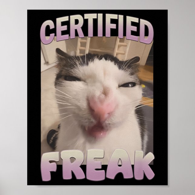 Póster Meme de meme de gato Freak certificado Memes ofens (Frente)