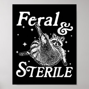 Póster Meme De Raccoon Feral Y Estéril
