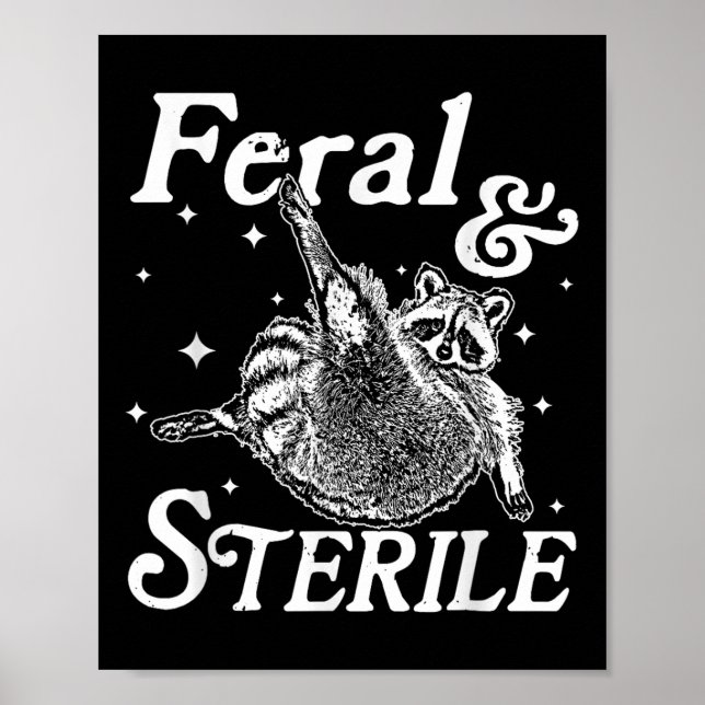Póster Meme De Raccoon Feral Y Estéril (Frente)
