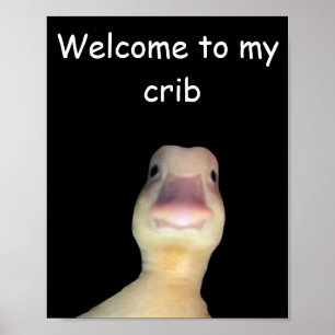 Póster Meme del Pato Divertido – “Bienvenido a Mi Casa” A
