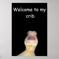 Meme del Pato Divertido: Bienvenido a Mi Guarida P