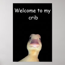 Meme del Pato Divertido: Bienvenido a Mi Guarida P