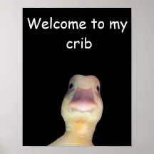 Meme del Pato Divertido: Bienvenido a Mi Guarida P