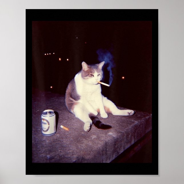 Póster Meme divertido Cigarette Kitten Brainrot Silly (Frente)