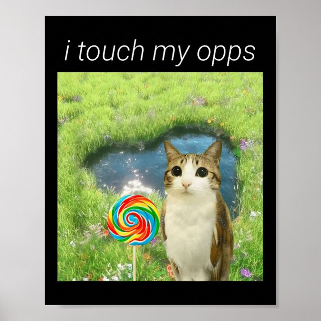 Póster Meme divertido de Meowl, Meme de búho gato Brainro (Frente)