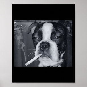 Póster Meme Divertido de Perro Fumando Cigarrillo Meme de