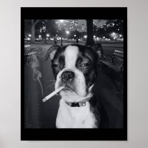 Póster Meme Divertido de Perro Fumando Cigarrillo Meme de