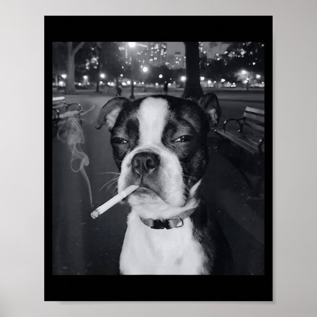 Póster Meme Divertido de Perro Fumando Cigarrillo Meme de (Frente)