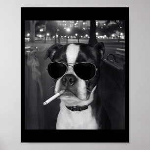 Póster Meme Divertido de Perro Fumando Cigarrillo Meme Pe