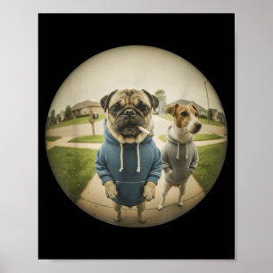 Póster Meme divertido de perro pug fumando porche fisheye