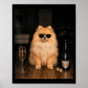 Póster Meme divertido de Pomerania bebiendo champán