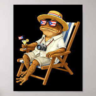 Póster Meme divertido de rana coqui gafas bandera de puer
