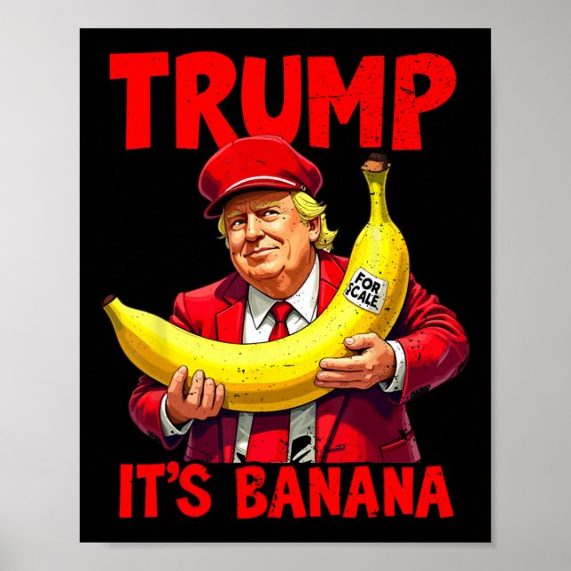 Póster Meme gracioso de Trump (Frente)