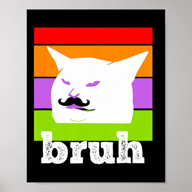 Póster Meme gracioso que dice Bruh con Cat-Cinco De Mayo- (Frente)