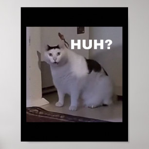 Póster Meme hh Cat