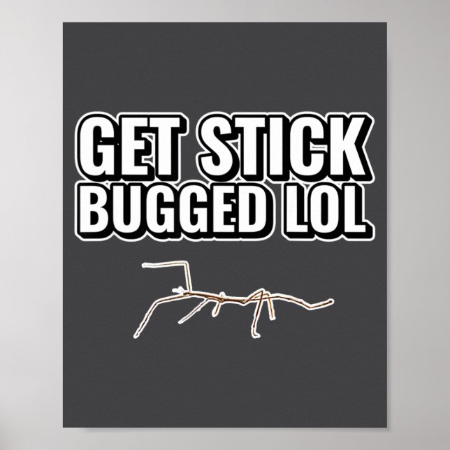 Póster Meme Increíble Consigue Stick Bugged Lol Divertido (Frente)