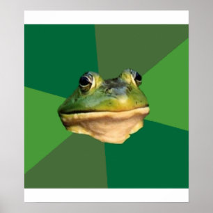 Póster Meme para animales con consejos de rana de bachill