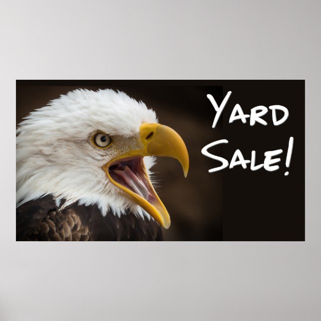 Póster Memes divertidos de águila con imágenes divertidas (Frente)