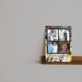 Póster Memorial Cuatro fotos Mamáes de araña blanca