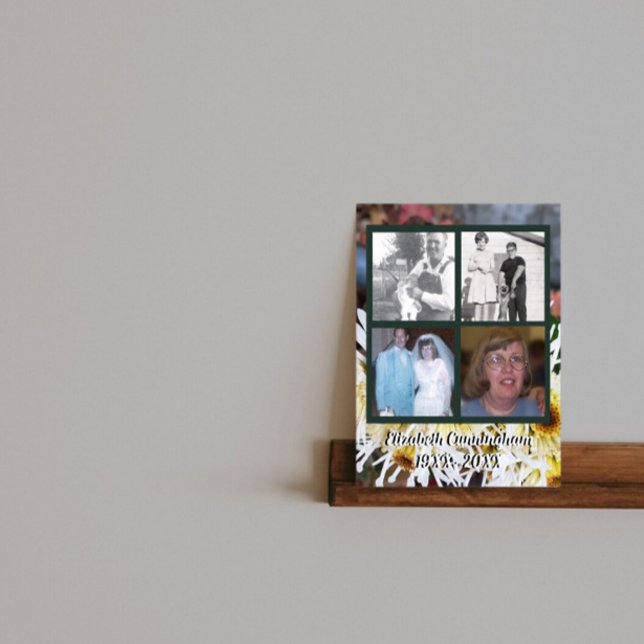 Póster Memorial Cuatro fotos Mamáes de araña blanca (Subido por el creador)