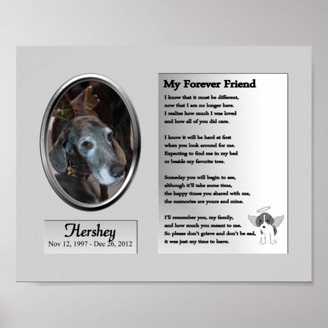 Póster Memorial del perro, mi eterno amigo (Frente)
