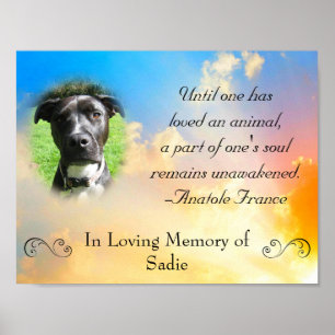 Póster Memorial mascota - Cita de pérdida Mascota