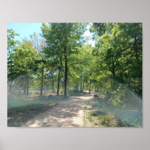 Póster Memorial Park Houston